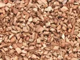 podloze-do-terrarium-chips-maly-4-litry-stan-nowy