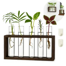 stojak-do-rozmnazania-roslin-z-5-probowkami-na-sadzonki-nowoczesny-design