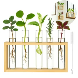 drewniany-stojak-do-rozmnazania-roslin-z-5-probowkami-na-sadzonki