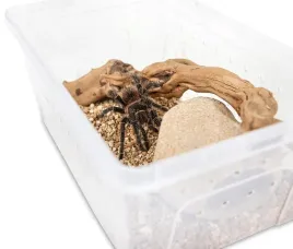 pojemnik-hodowlany-feeding-box-32x22x15cm-bx28