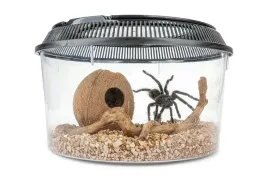 pojemnik-transporter-do-hodowli-gadow-plazow-pajeczakow-gryzoni-30x19cm-ter