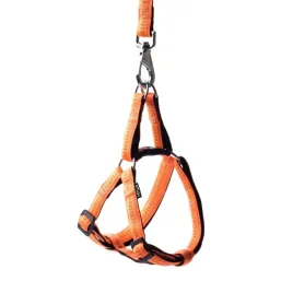 szelki-soft-style-happet-pomaranczowe-l-2-0-cm