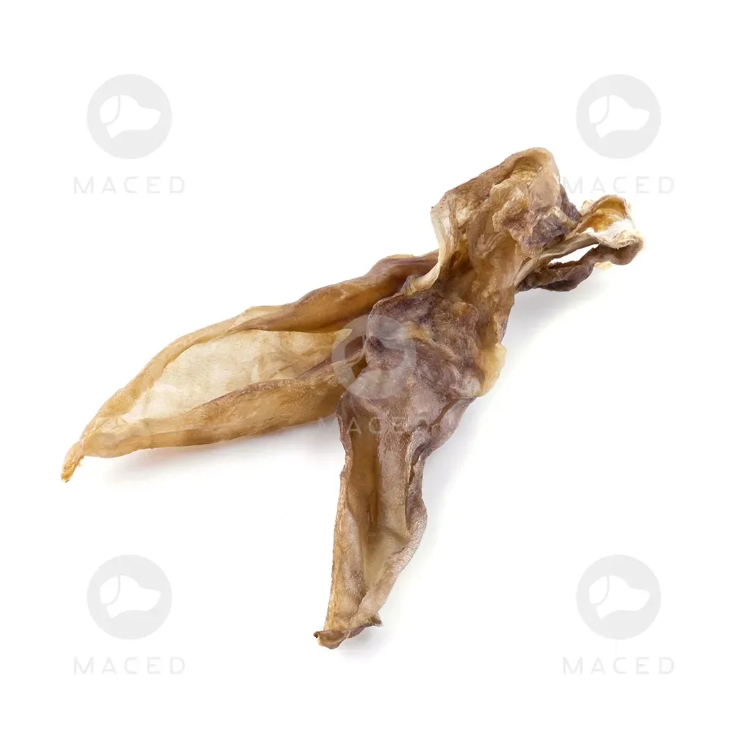 maced-ucho-krolicze-2szt