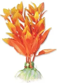 roslina-blister-10cm-1b05-happet