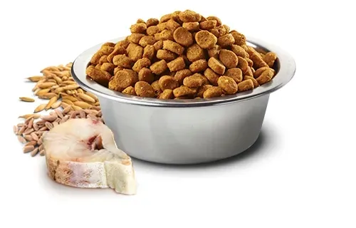 nandd-ocean-cod-oats-orange-adult-medium-maxi-wiek-zwierzecia-psy-dorosle
