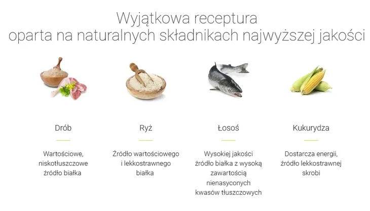 josera-kitten-10kg-nazwa-handlowa-3564