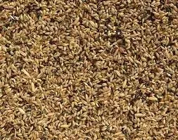 80-mieszanka-pokarm-dla-kanarka-20kg-deli-nature