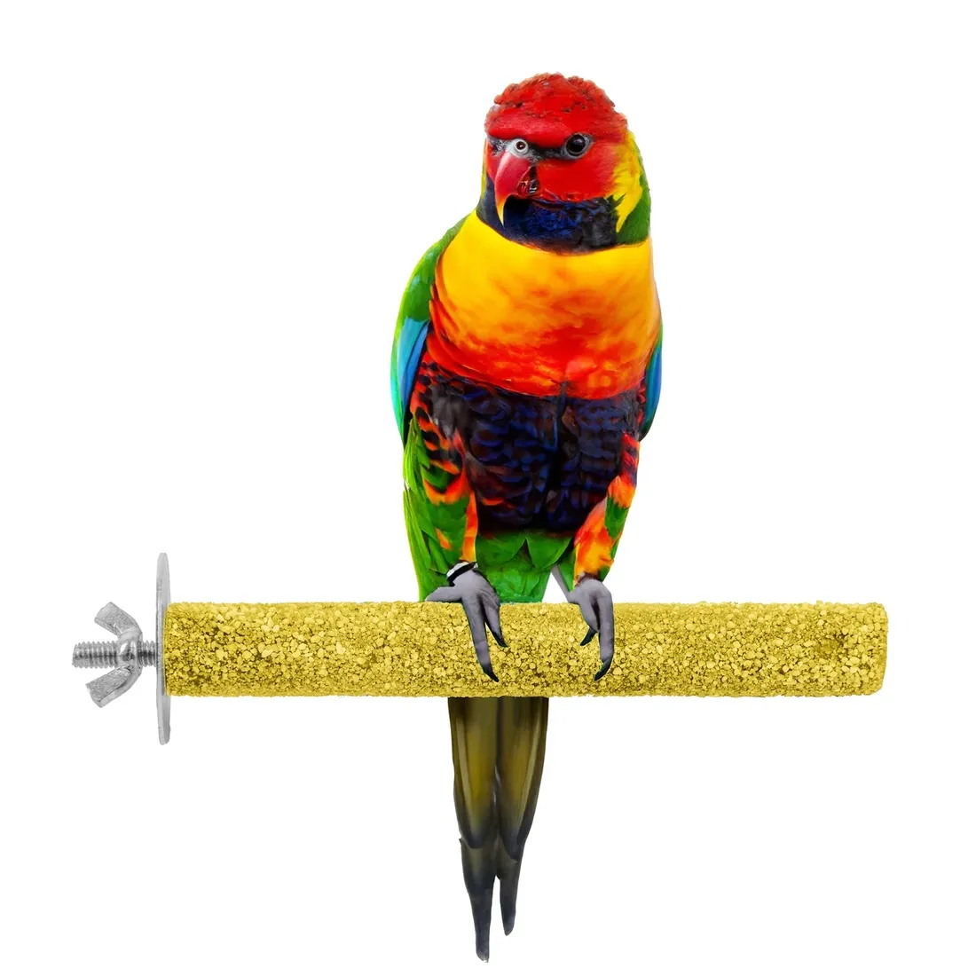 wspinaczka-panama-pet-15-x-22-cm