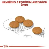 royal-canin-mini-dermacomfort-8kg-karmy-specjalne-dla-psow-z-alergia