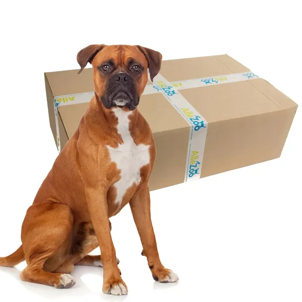 zolux-transporter-mini-gulliver-kol-niebieski-marka-zolux-waga-z-opakowaniem-0-15-kg
