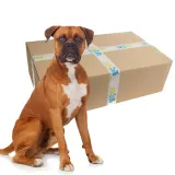 zolux-transporter-mini-gulliver-kol-niebieski-marka-zolux-waga-z-opakowaniem-0-15-kg