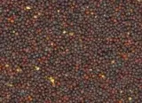 rzepik-dla-papug-1kg