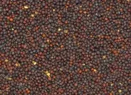 rzepik-dla-papug-1kg