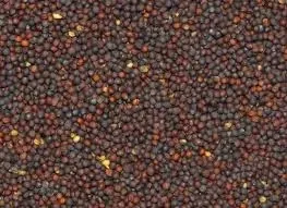 rzepik-dla-papug-1kg