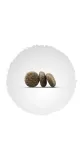 josera-optiness-1kg-karmy-specjalne-nie-dotyczy