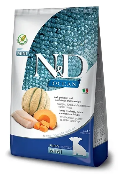 nandd-ocean-cod-pumpkin-cantaloupe-puppy-mini