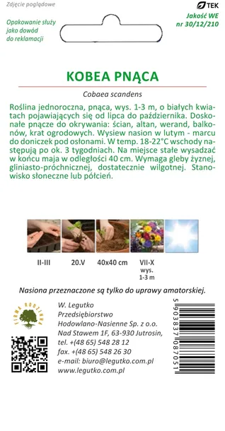 kobea-pnaca-biala-nasiona-waga-1-g