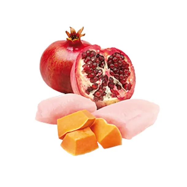 nandd-pumpkin-chicken-pomegranate-starter-mini-wiek-zwierzecia-szczenieta-i-mlode-psy