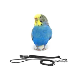 szelki-smycz-dla-papug-rozmiar-xs