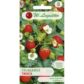nasiona-truskawka-tresca-aromatyczna-odporna-003g-plenna-wczesna