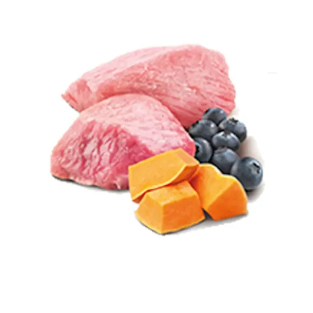 nandd-pumpkin-lambandblueberry-starter-mini-wiek-zwierzecia-szczenieta-i-mlode-psy