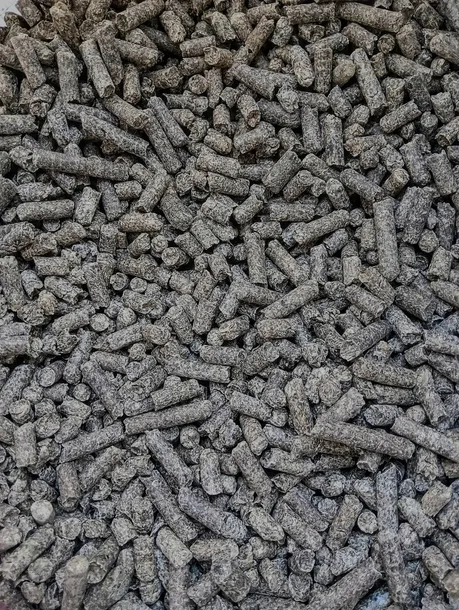 WYSŁODKI BURACZANE NIEMELASOWANE DLA KONI 25KG DLA ZWIERZĄT SUCHE