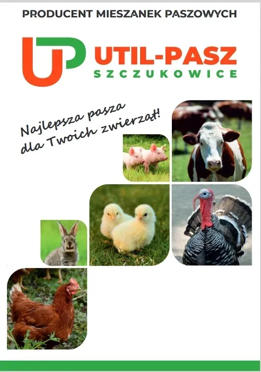 ulotka-oferty-util-pasz
