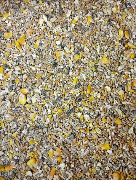 Pasza Karma Dla Kur Niosek 25kg Naturalna Mieszanka BEZ GMO Sypka