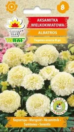aksamitka-wielkokwiatowa-albatros-03g-nasiona-kwiaty-jednoroczne-toraf