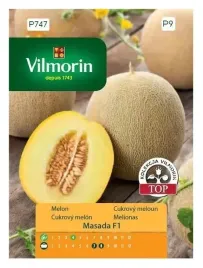 melon-masada-f1-vilmorin-nasiona-srednio-wczesny-slodki-zielony-miaz
