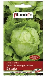 salata-lodowa-bakata-nasiona-salaty-odmiana-plenna-1g-plantico-caloroczna