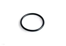 uszczelka-elektrody-tytanowej-do-pompy-12871-intex