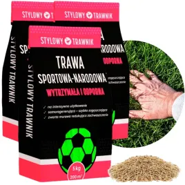 trawa-nasiona-sportowa-sport-boiskowa-wytrzymala-odporna-na-deptanie-15kg