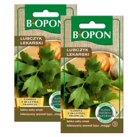 biopon-nasiona-lubczyk-lekarski-wieloletni-przyprawa-zup-sosow-02g-x2