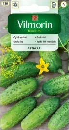 ogorek-gruntowy-cezar-f1-konserwowy-vinmorin-5g-dlugo-owocuje-do-jesieni