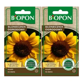 biopon-nasiona-slonecznik-ogrodowy-wysoki-na-ziarno-ozdobny-jadalny-10g-x2