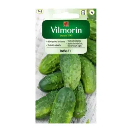 ogorek-gruntowy-rufus-f1-vilmorin-3g-korniszony-krotkie-malutkie-owoce