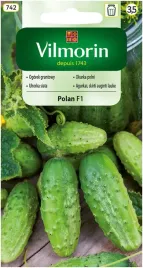 ogorek-gruntowy-polan-f1-vilmorin-wczesny-plenny-odporny-na-zolkniecie