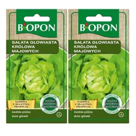 biopon-nasiona-salata-glowiasta-krolowa-majowych-wczesny-wzrost-1g-x2-szt