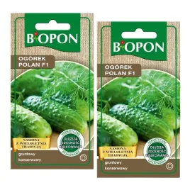 biopon-nasiona-ogorek-polan-f1-3g-gruntowy-konserwowy-obfite-plony-x2