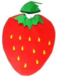 dzieciecy-stroj-truskawka-wiosna-lato-bal-wiosenny-owoce-witaminy