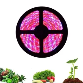 tasma-led-5050-ip20-rolka-5m-4-1-roslinna-do-wzrostu-doslin-grow