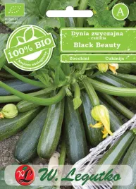 cukinia-black-beauty-bio-ekologiczna-wczesna-ciemno-zielona-w-legutko-2g