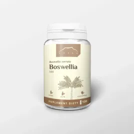 boswellia-serrata-500mg-nanga-kapsulki-100-szt-kadzidlowiec