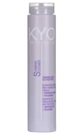 kyo-smooth-system-frizzy-hair-shampoo-250-ml