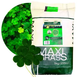 trawa-nasiona-trawnik-z-mikrokoniczyna-ozdobny-bez-nawozenia-5-kg