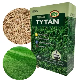 trawa-tytan-na-bardzo-trudne-gleby-suche-odporna-ogrodowa-nasiona-1kg