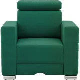 fotel-pasaro-camelia-17155-kolekcja-pasaro