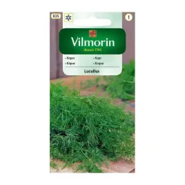 koper-ogrodowy-lucullus-vilmorin-nasiona-5g-aromatyczny-plenny-wczesny