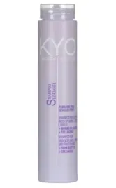 kyo-smooth-system-frizzy-hair-shampoo-250-ml